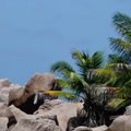 2015-08-14 Seychellen 2.1 013