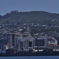 Wellington -  Coromandel (021)